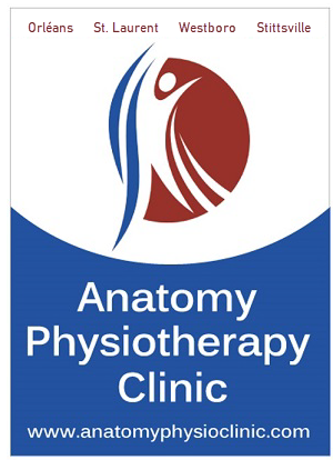 AnatomyPhysiotherapy